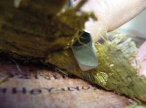 Pecinta Sappho Senang Dengan Penemuan Puisi 'Baru'